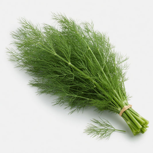 認證有機茴香葉（600g）
