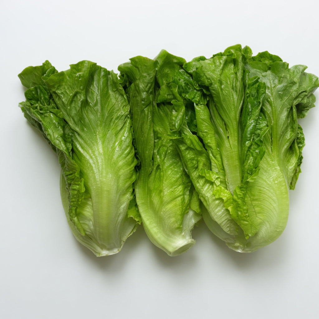 認證有機生菜（600克）