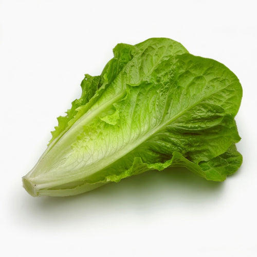 認證有機羅馬生菜（600克）